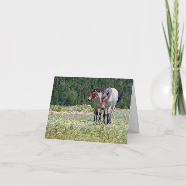 Carte Pilar et Feu sauvage Pryor Mountain Chevaux sauvag (Devant)
