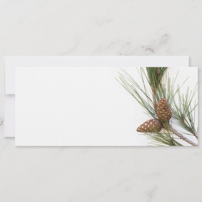 Carte Pine branch and cones (Devant)