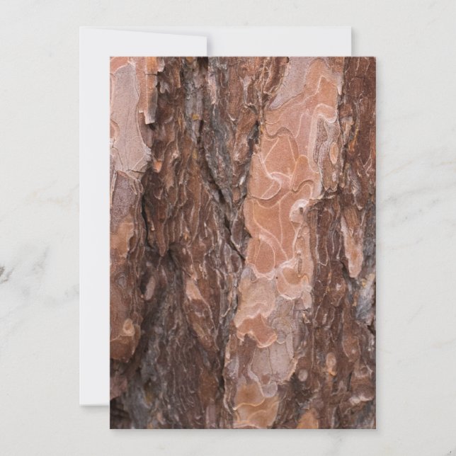 Carte Pine tree bark (Devant)
