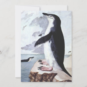 Carte Pingouin vintage Chinstrap, Oiseaux de l'Antarctiq