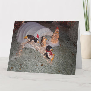Carte Pingouins glissant vers le bas pente dans Jardin d