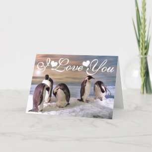 Carte Pingouins Roi Photo I Love You