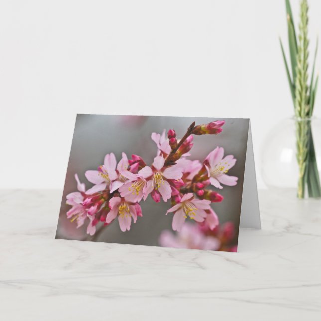 Carte Pink Against A Gray Sky Japanese Cherry Blossoms (Devant)