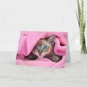 Carte Pink Blankie Thinking of You Cat/Kitten Card