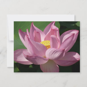 Carte Pink Lotus Flower IV