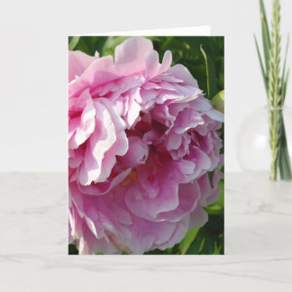 Carte Pink Peony photo cottage ferme jardin fleuri