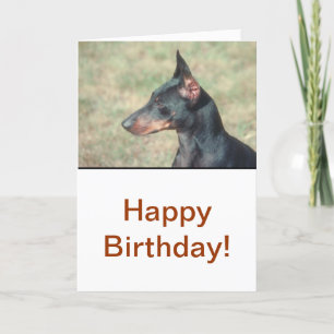 Carte Pinscher miniature