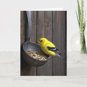 Carte Pinson jaune d'anniversaire sur une louche rouillé
