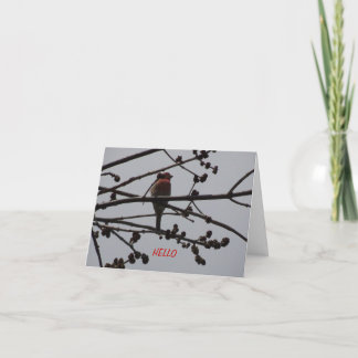 Carte Pinson pourpre, lumineux et gai
