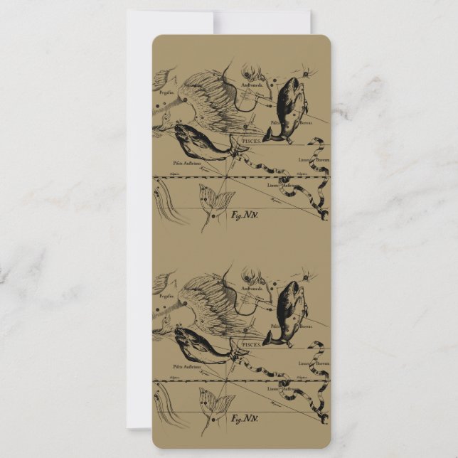 Carte Pisces Constellation Hevelius 1690 févr19 - 20 mar (Devant)