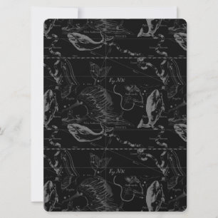 Carte Pisces Constellation Hevelius 1690 févr19 - 20 mar