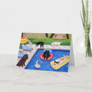 Carte Piscine Party labradors peinture