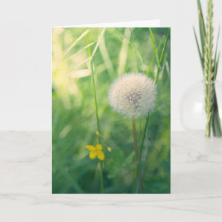 Carte Pissenlit dans la verdure avec une douce lumière e