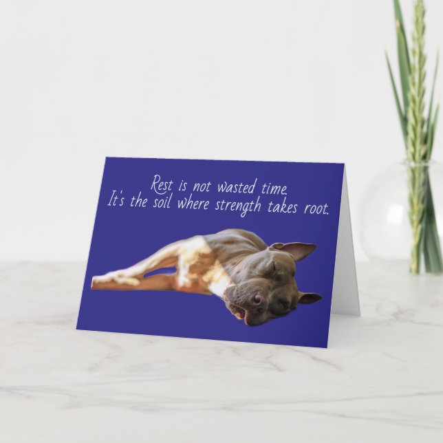 Carte Pit Bull endormi (Devant)