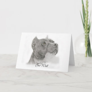 Carte Pit Bull Get Well Card