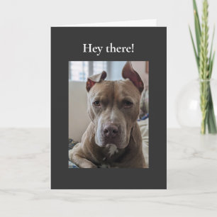 Carte Pit Bull Salut