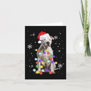 Carte Pitbull Chien Joyeux Dogmas Père Noël Pitbull Noël