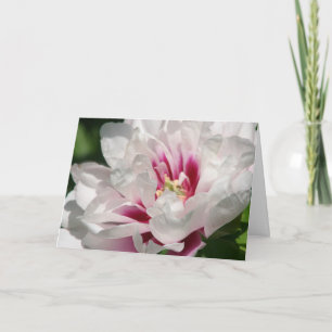 Carte Pivoine "Cora Louise " d'Itoh