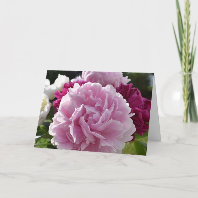 Carte Pivoines (Devant)