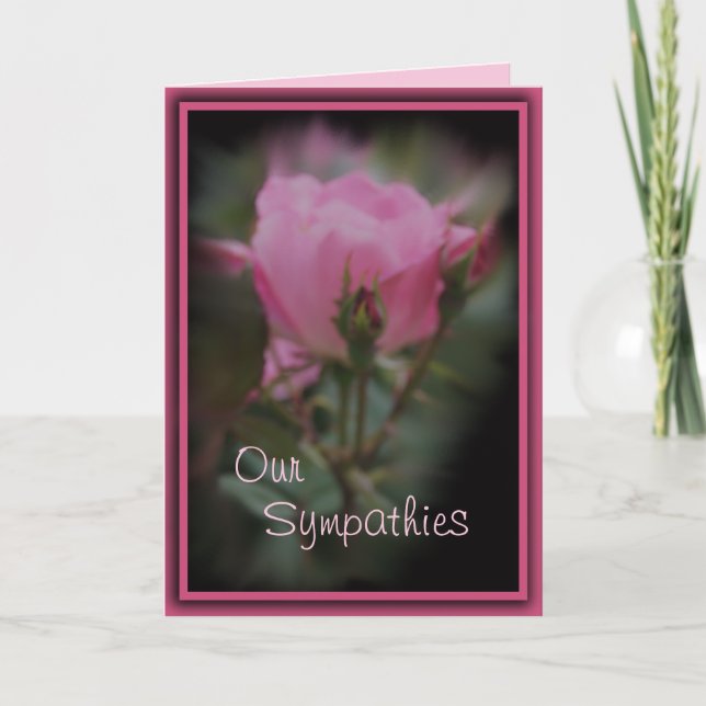 Carte Pk Knockout Rose Sympathie - personnaliser toute o (Devant)