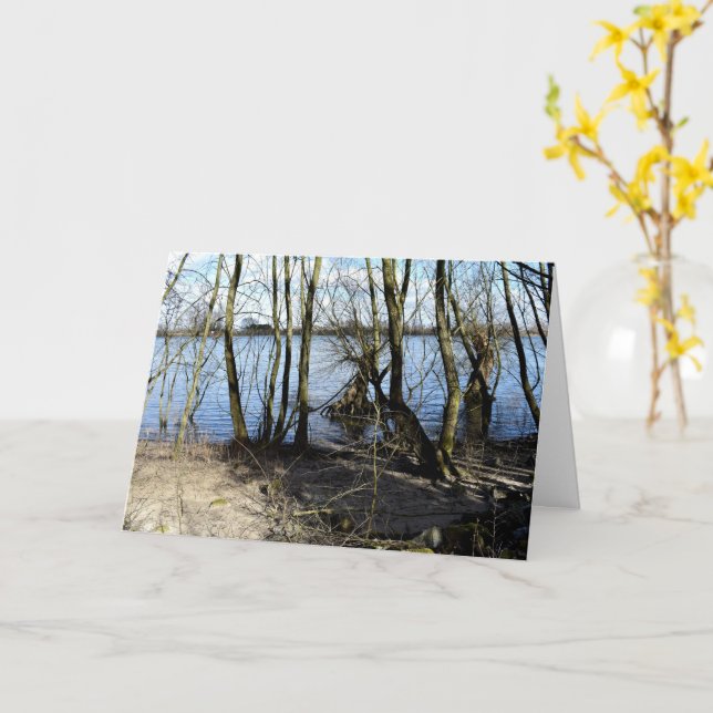 Carte Places perdues, Arbres sur la rive de la rivière (Fleur jaune)