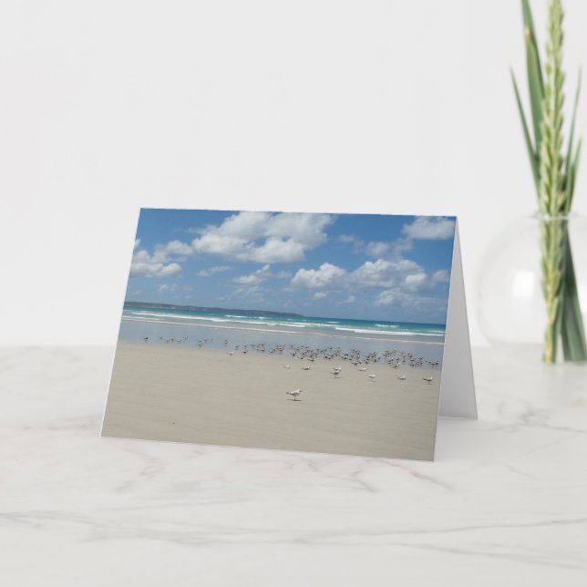 Carte Plage avec mouettes (Devant)
