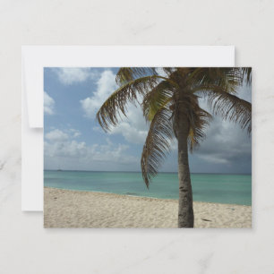Carte Plage d'Aruba I Belle Scène Nature