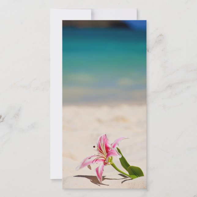 Carte Plage Lily (Devant)