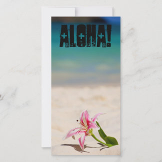 Carte Plage Lily