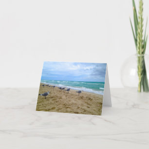 Carte Plage Seagull blanche
