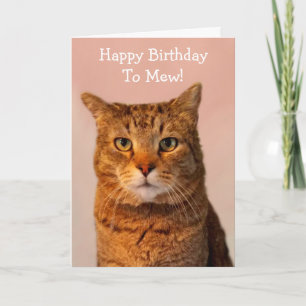 Carte Plaisanteries de chats amusantes Anniversaire