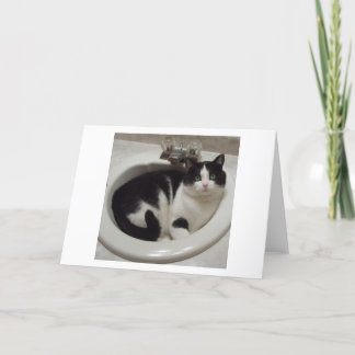 Carte Plaisir d'amoureux de les chats