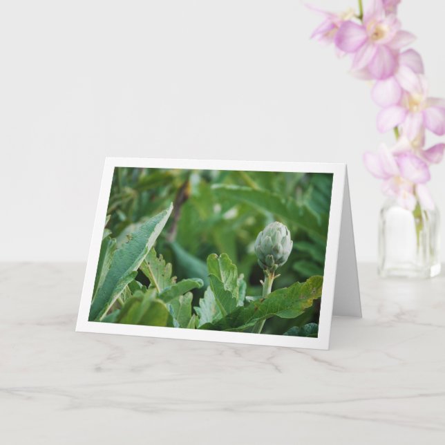 Carte Plante de l'Artichoke Thistle (Orchidée)