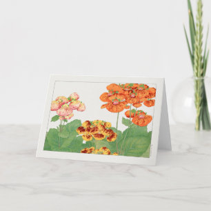 Carte Plante Pocketbook par Tanigami Konan