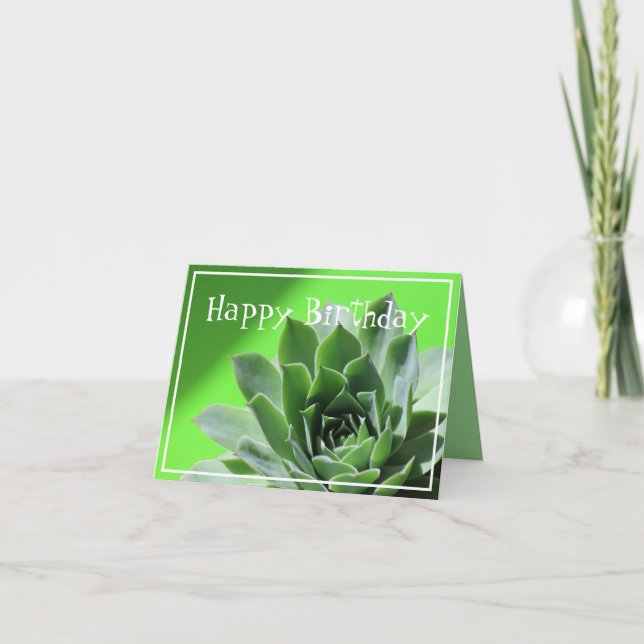 Carte Plante succulent vert clair sempervivum (Devant)