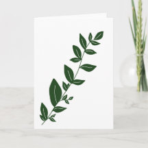 Plante verte boho