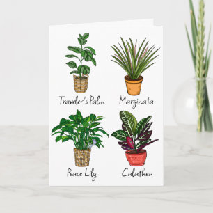 Carte Plantes de la maison à main Joyeux anniversaire