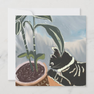 Carte Plantes de la maison d'observation des chats