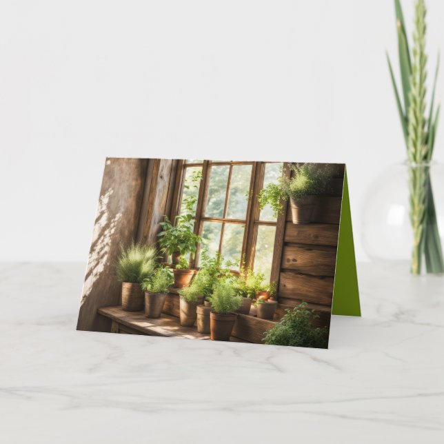 Carte Plantes Posés Dans Une Fenêtre Ensoleillée (Devant)