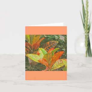 Carte "Plantes tropicaux colorés"
