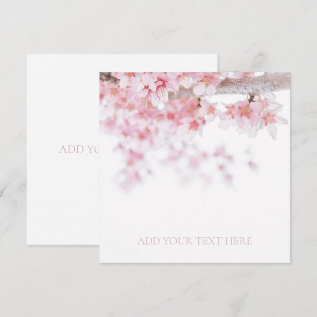 CARTE PLAT : CHERRY BLOSSOM (Devant / Derrière)