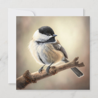 Carte Plat Chickadee