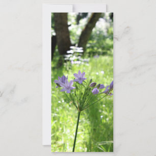 Carte Plat Fleur sauvage violet