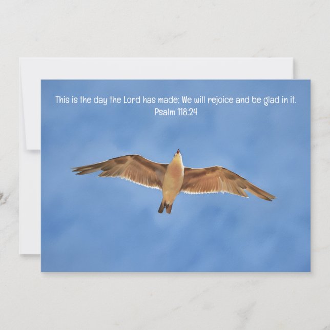 Carte Plat Flexible Bible Oiseau Gull (Devant)