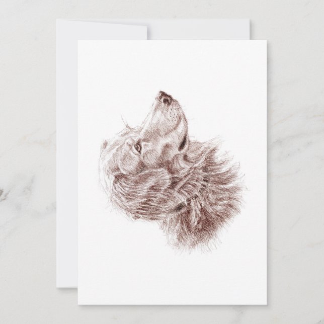 Carte Plat Golden Retriever (Devant)