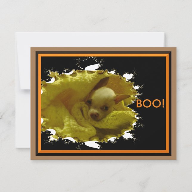Carte plat Halloween Chihuahua (Devant)