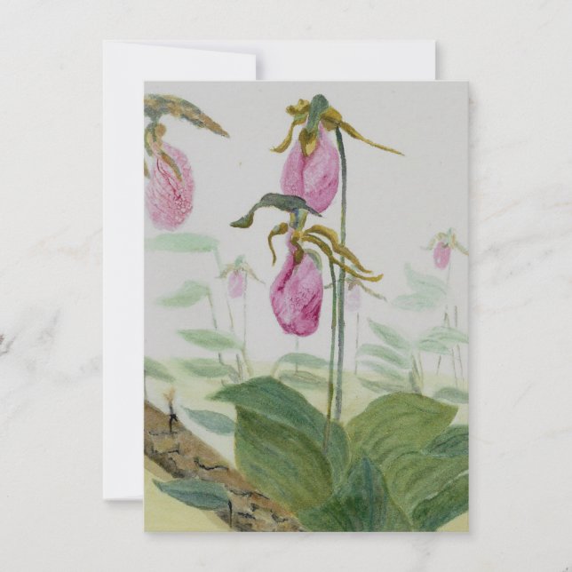 Carte Plat Lady Slippers (Devant)