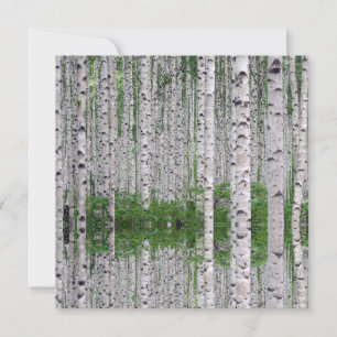 Carte Plat Nature de la forêt de bouleaux