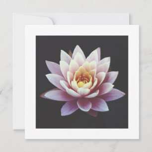 CARTE PLATE LOTUS