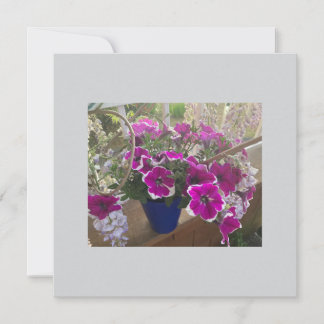 Carte plate pour message ou faire-part spécial